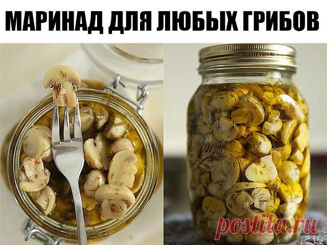Ловите, хозяюшки вы мои!) Маринад для любых грибов.      

1 литр воды; 
2 ст. л. сахара; 
4 ч. л. соли; 
3 шт. лаврового листа; 
6 горошин душистого перца; 
4 шт. гвоздики; 
3 кусочка корицы (молотой ½ ч. л.) ; 
3 ч. л. уксусной эссенции 70 %. 

При использовании столового 5% уксуса необходимо взять 800 мл воды и 200 мл 5% уксуса. При использовании 9% уксуса - 890 мл воды и 110 мл 9% уксуса. 

ПРИГОТОВЛЕНИЕ: 

Вскипятить воду, добавить специи, проварить минутки три (уксус...