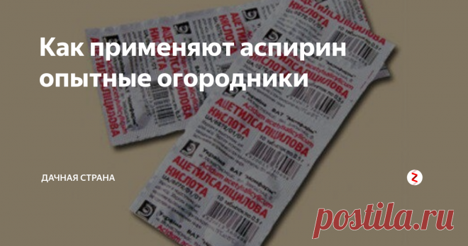 Как применяют аспирин опытные огородники Простой аспирин поможет вам вырастить хороший урожай. 4 факта о чудодейственных свойствах всего одной беленькой таблеточки.
