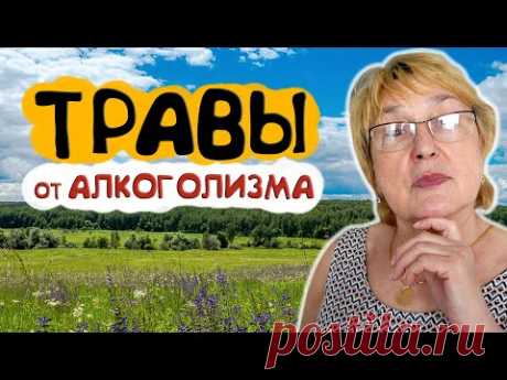 Эти травы на пьянство управа