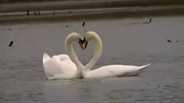 Мой Мир@Mail.Ru