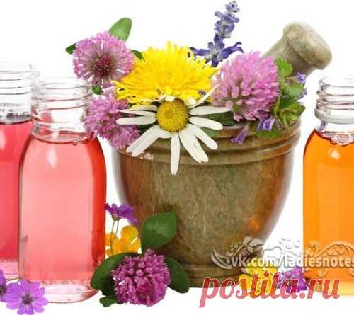 ЗАБОЛЕВАНИЯ И УПОТРЕБЛЯЕМЫЕ ДЛЯ ИХ ЛЕЧЕНИЯ МАСЛА