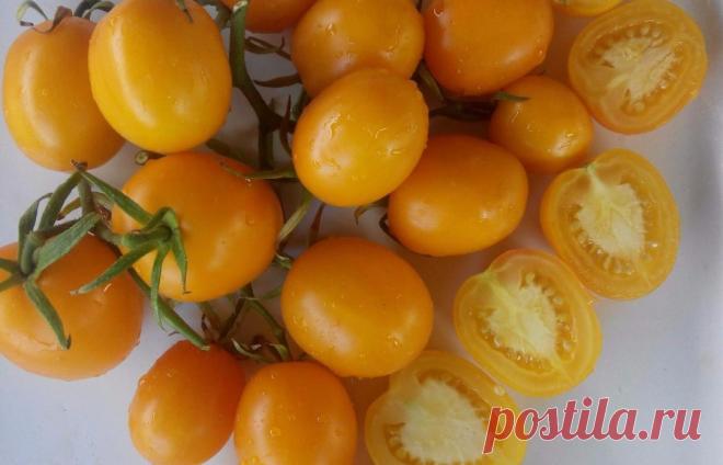 Де барао желтый Огород без хлопот - информационный сайт для дачников, садоводов и огородников.