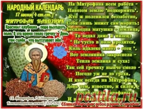 В день Митрофана Навозника желаю, чтобы земля ваша дышала силой, а урожай радовал изобилием! Пусть в каждом деле будет порядок, а дом твой обходят стороной невзгоды. Открытки на Митрофан Навозник (Митрофанов День)!