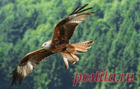 (99) Одноклассники