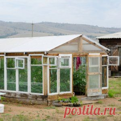7 шагов: теплица из оконных рам
