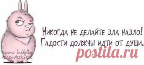 Прикольные высказывания в картинках