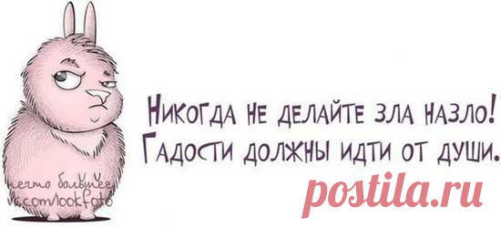 Прикольные высказывания в картинках