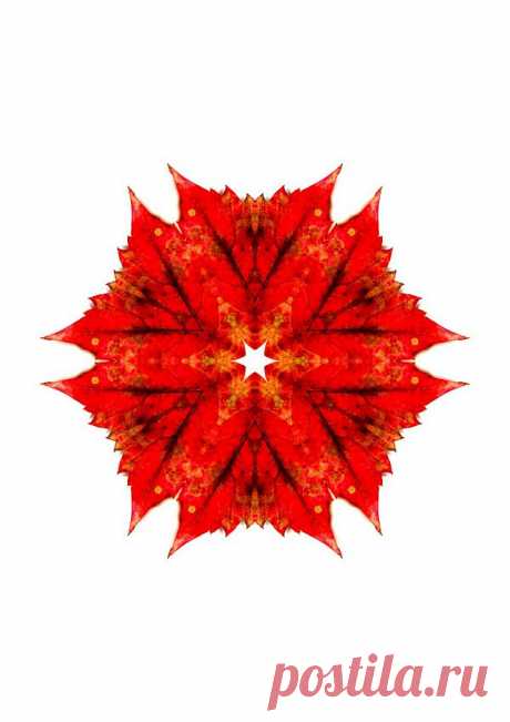 Осенняя мандала - 
Red Patterned Kaleidoscope  Free Stock Photo HD - Public Domain Pictures