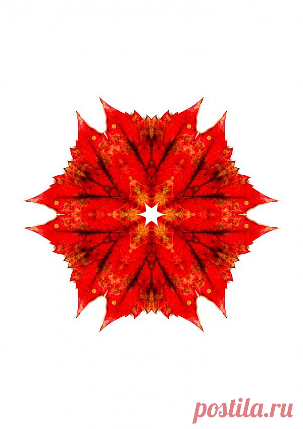 Осенняя мандала - 
Red Patterned Kaleidoscope  Free Stock Photo HD - Public Domain Pictures