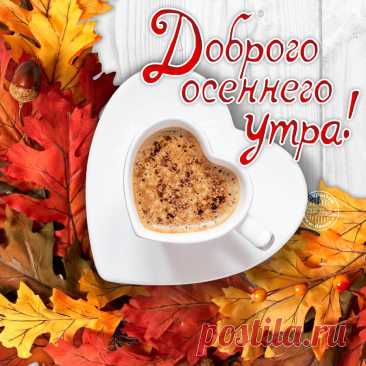 Этим чудесным осенним утром желаю тебе теплого настроения, хорошего самочувствия, боевого настроя, успешной работы и волшебного дня! открытка с добрым утром осенним