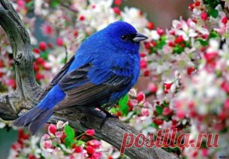 Фразы,Высказывания,Стихи,Цитаты,Видео...
Елена Станова