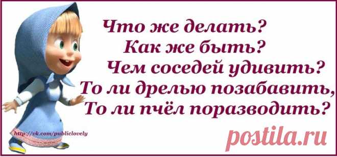Воскресные картинки // ОПТИМИСТ