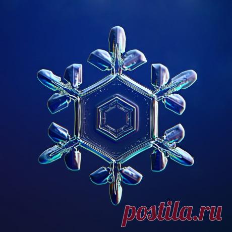 Не сразу поняла, как это снято: невероятной красоты снежинки (настоящие, сделано матушкой-природой и фотографом из Вологды) | Северяночка | Яндекс Дзен