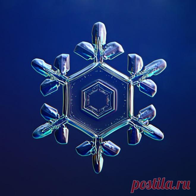 Не сразу поняла, как это снято: невероятной красоты снежинки (настоящие, сделано матушкой-природой и фотографом из Вологды) | Северяночка | Яндекс Дзен