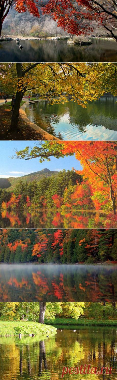 Зеркальное отражение осени в воде! Буйство осенних красок над зеркалом озер! - Блог Три и ночка
