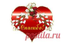 Виды резинок