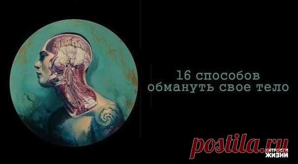 16 способов обмануть свое тело (сохраняем себе)