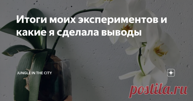 Итоги моих экспериментов и какие я сделала выводы Это моя самая первая реанимированная орхидея)
Всем привет!
Помните я проводила 2 эксперимента с орхидеями:
и