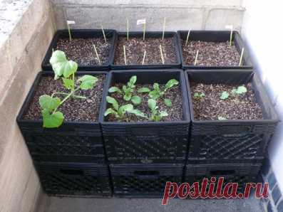 Компостер из пластиковых ящиков - Садоводка