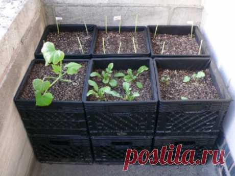 Компостер из пластиковых ящиков - Садоводка