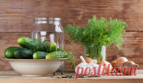 8 вариантов заготовок огурцов