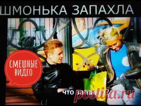 ДРЫСТУНЬЯ;В СОЛЯРИИ;ЩЕКОТКА мемы, посмеемся?