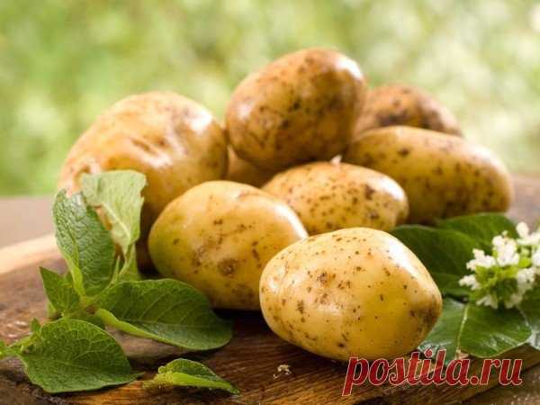 Молодой картофель - рецепты красоты.