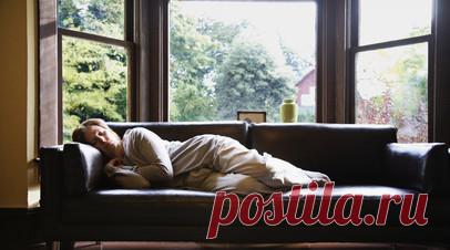 Сомнолог Царёва: организм замедляется, если дневного света становится меньше. Врач-сомнолог Елена Царёва рассказала, что организму свойственно замедляться, если дневного света становится меньше. Поэтому эксперт советует использовать искусственное освещение. Читать далее