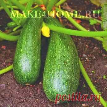 Как приготовить блины из кабачков (рецепт) | Сделай Сам!