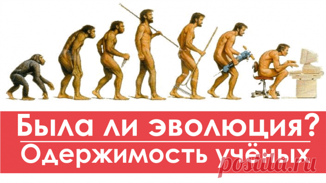 Вопиющая наглость и надменность некоторых учёных - антропологов заставила меня сделать это видео на тему Эволюции жизни на Земле, происхождении человека, дарвинизма... и я взял за основу видео человека - рупора эволюционистов - Александра Соколова (и ещё одного тов.) - нашёл случайно и зацепило!!!