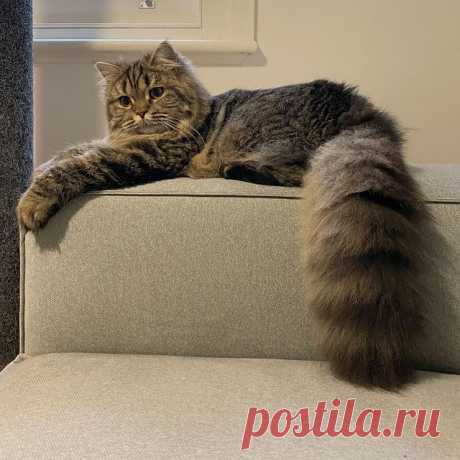 Photo by Hello, I’m Atlas♀ on December 03, 2020.