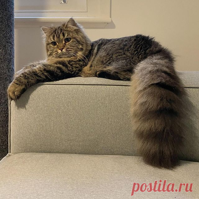 Photo by Hello, I’m Atlas♀ on December 03, 2020.