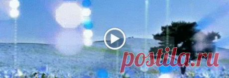 Svetlana Bolotova – Google+