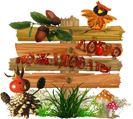 Добро пожаловать - для оформления дневника