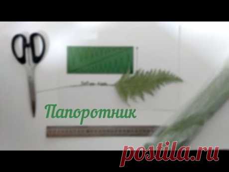 Зелень из бумаги: Папоротник/ Crepe paper fern DIY