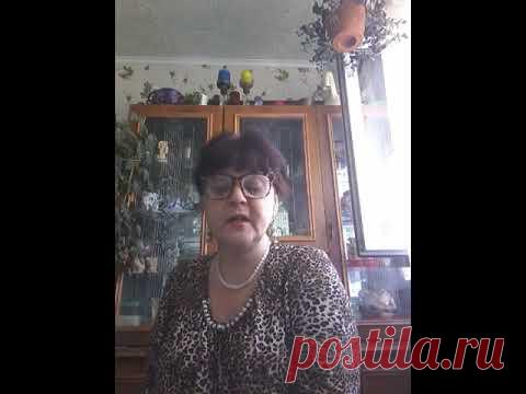 Альберт Великий: Открытия и Предсказания ДЛЯ НАС.