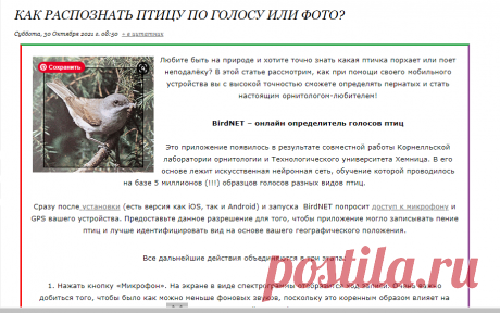Как распознать птицу по голосу или фото?