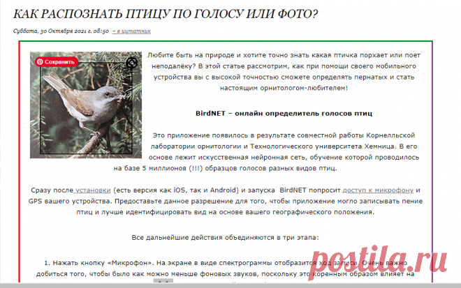 Как распознать птицу по голосу или фото?