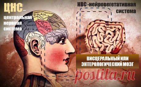 Психосоматика болезней ЖКТ | Сергей Колеша