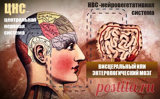 Психосоматика болезней ЖКТ | Сергей Колеша