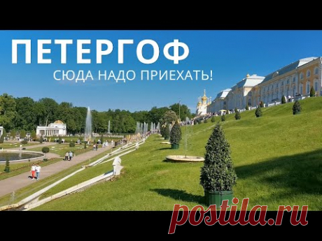 Едите в Питер?! Тогда нельзя не посетить ПЕТЕРГОФ - Государственный музей-заповедник. Планируйте целый день, огромная территория парка и дворцы. Общепит есть, но можно и с собой, сэндвичи, напитки и прочее, не запрещено. Вход 450р. Второе воскресенье каждого месяца бесплатный вход для льготных категорий - многодетные семьи, пенсионеры и т.д. Отличный досуг, особенно если повезёт с погодой. 
На обратном пути обязательно загляните в русскую деревню Шуваловка!! Это в 2х шагах.