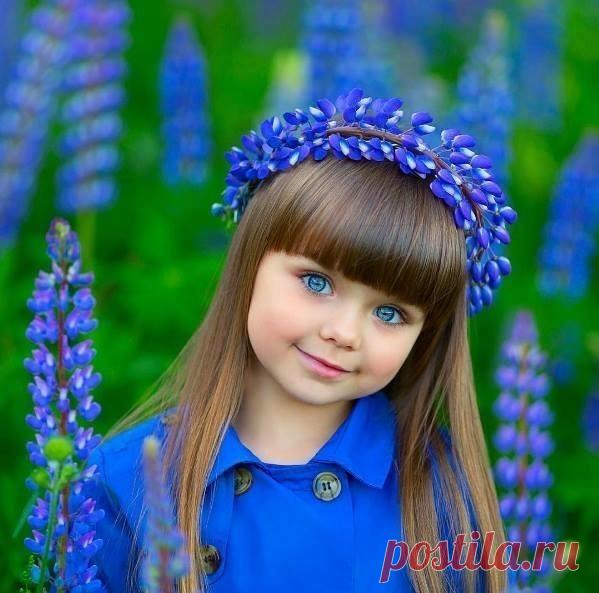 (54) Одноклассники