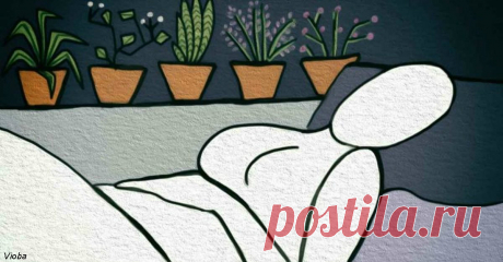 6 растений для спальни, которые помогут вам уснуть как младенец