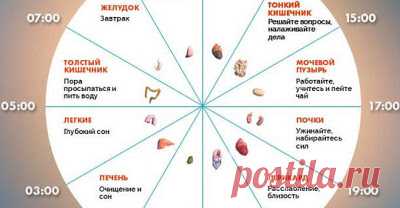 здоровье | Записи в рубрике здоровье | Дневник сини4ка