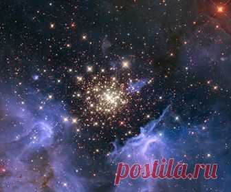 Звезда Сириус - описание, особенности, история и интересные факты История астрономии как науки о звёздах насчитывает тысячелетия. Люди всегда всматривались в звёздное небо, искали там ответы на свои вопросы и пытались узнать прошлое и предсказать будущее. Современна…