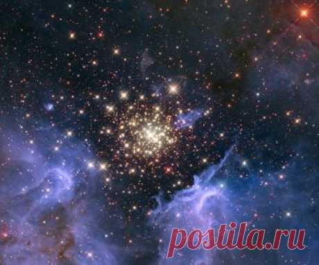 Звезда Сириус - описание, особенности, история и интересные факты История астрономии как науки о звёздах насчитывает тысячелетия. Люди всегда всматривались в звёздное небо, искали там ответы на свои вопросы и пытались узнать прошлое и предсказать будущее. Современна…