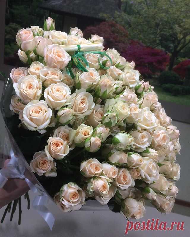 Купить Роза Яна. Букет из 21 розы. Высота 50 см в Новочеркасске