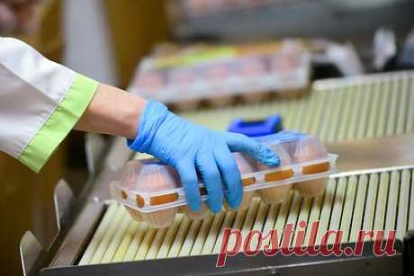 Белоруссия решила сохранить свои яйца для снижения цен. Власти Белоруссии на прошлой неделе распорядились ограничить экспортные поставки мясо-молочной продукции, в том числе мяса курицы и яиц, ради насыщения продукцией внутреннего рынка. Об этом свидетельствует письмо департамента ветеринарного и продовольственного надзора Министерства сельского хозяйства и продовольствия.