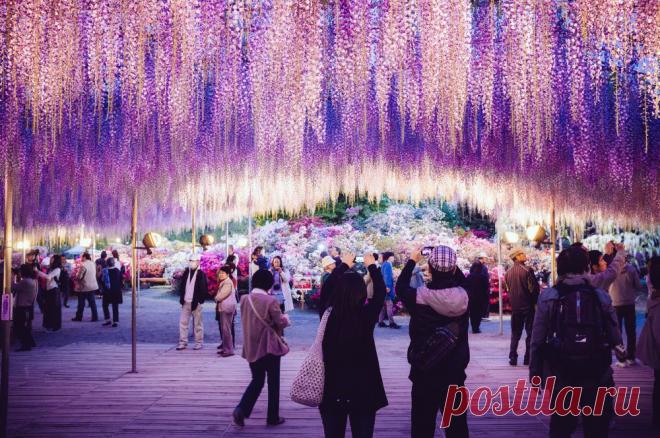 Пурпурные небеса