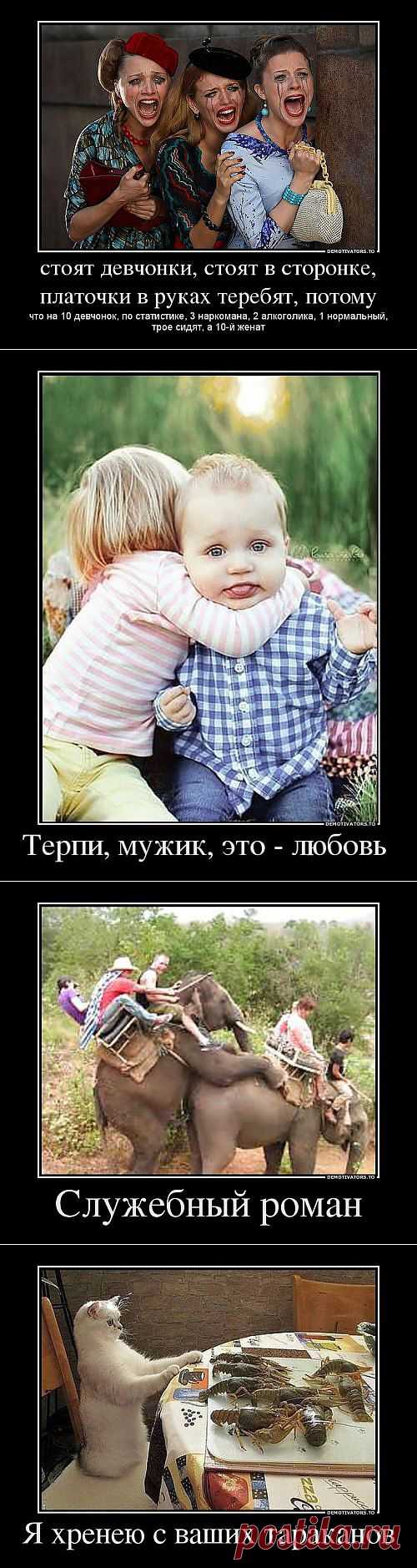 Снова прикольные демотиваторы / Приколы